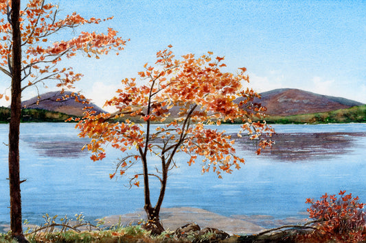 Original watercolor painting of Autumn Splendor showing fall foliage along the Eagle Lake carriage road in Acadia National Park, by Beth Whitney.
