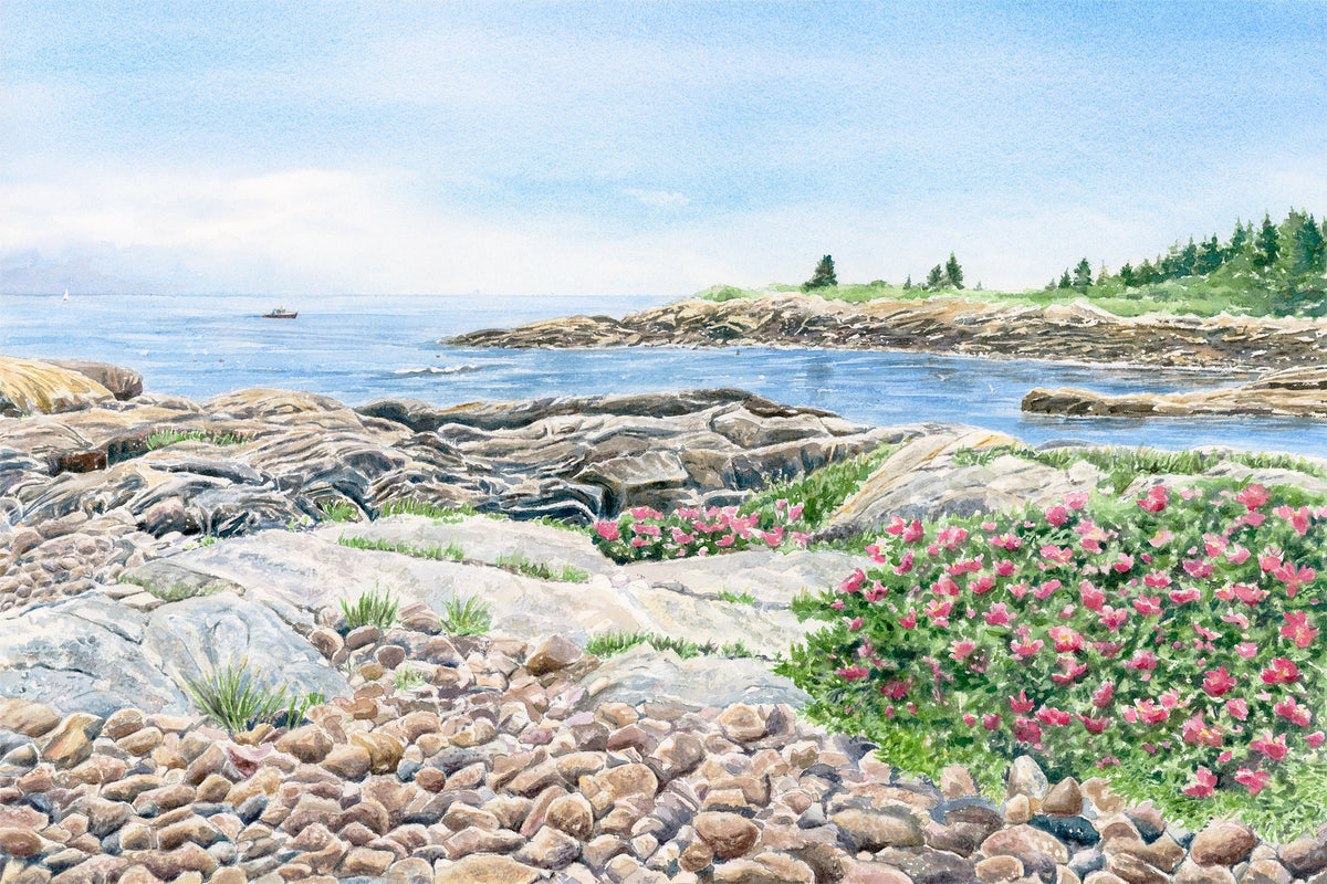 Original watercolor painting of Blueberry Hill, Schoodic Point, Acadia National Park, with beach roses, cobblestones, and storm light on pink granite, by Beth Whitney.