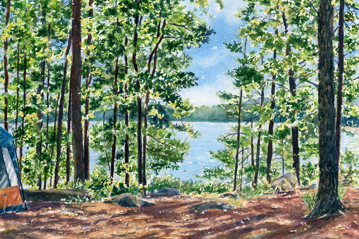 Original watercolor painting of a sun-dappled campsite at Sebago Lake State Park, Casco, Maine, with glowing leaves and forest shadows, by Beth Whitney.