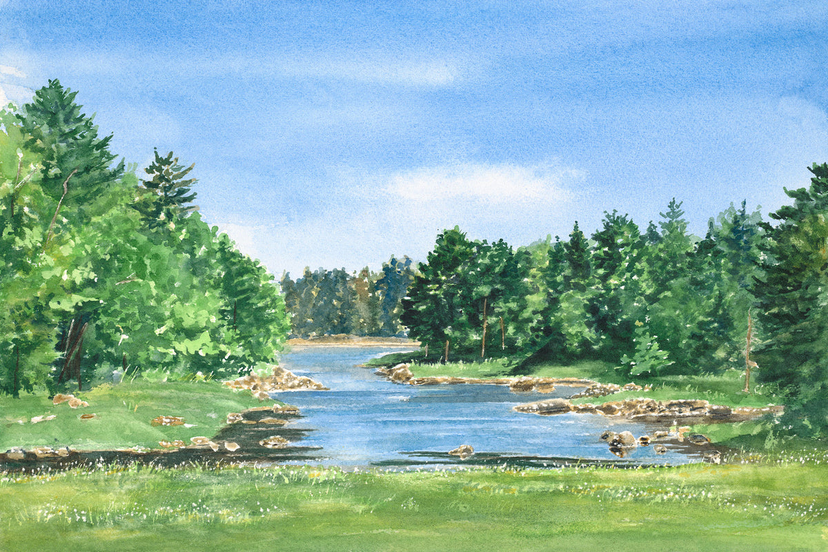 Original watercolor painting of the Carrying Place, a historic portage stream near Machias, Downeast Maine, with lush early summer greens, by Beth Whitney.