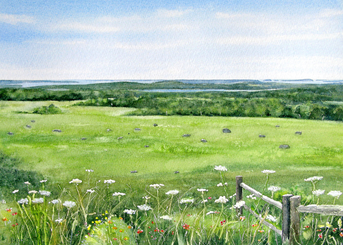 Original watercolor painting of the view from Caterpillar Hill, Sedgwick, Maine, looking over Deer Isle and Eggemoggin Reach with wildflowers along an old fence, by Beth Whitney.