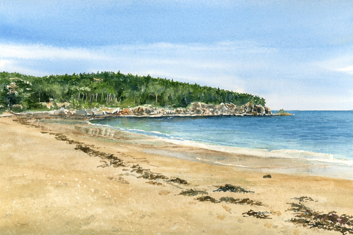 Original watercolor painting of Great Head and Sand Beach in Acadia National Park with golden sand, shimmering tide, and wooded headland, by Beth Whitney.