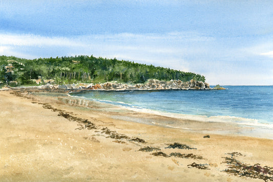 Original watercolor painting of Great Head and Sand Beach in Acadia National Park with golden sand, shimmering tide, and wooded headland, by Beth Whitney.