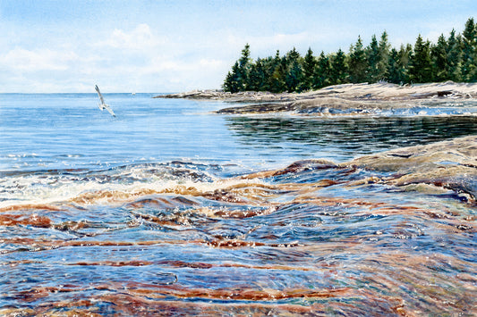 Original watercolor painting of Great Wass Island, Beals, Downeast Maine, with crystal clear water revealing red and gold submerged rocks and a gull in the sky, by Beth Whitney.