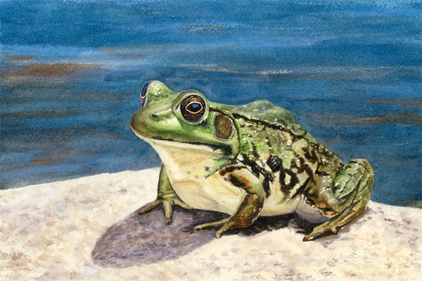 Green Frog Print