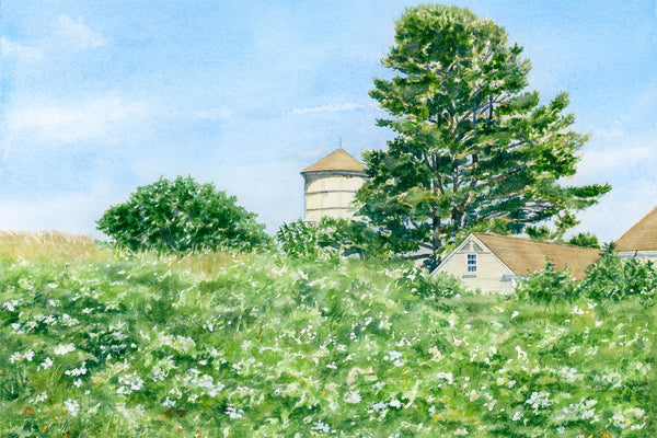 Laudholm Farm Wildflowers Painting