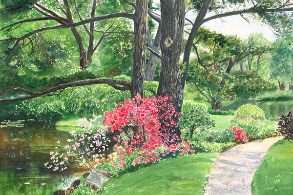 Lily Pond Print