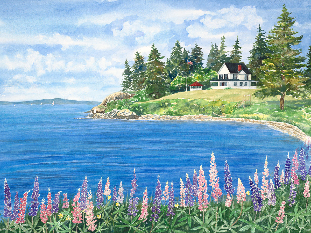 Original watercolor painting of pink and purple lupine on the shore at Harborside, Cape Rosier, Maine, with a seaside cottage, sailboats, and Penobscot Bay toward Castine, by Beth Whitney.