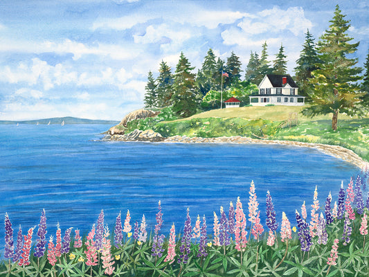 Original watercolor painting of pink and purple lupine on the shore at Harborside, Cape Rosier, Maine, with a seaside cottage, sailboats, and Penobscot Bay toward Castine, by Beth Whitney.