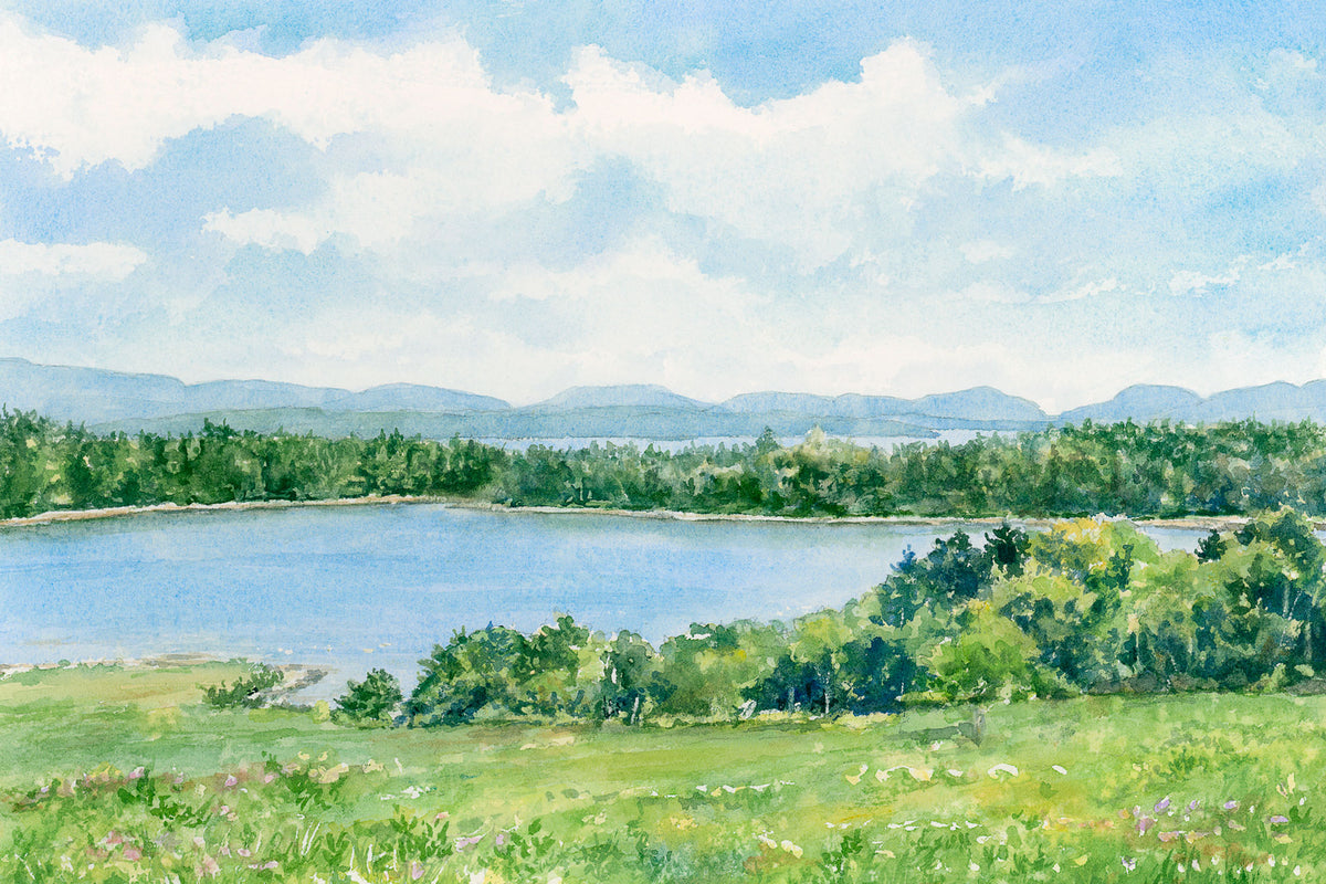 Original watercolor painting of a summer wildflower field along Morgan Bay, Surry, Maine, with distant views of the mountains of Acadia National Park, by Beth Whitney.