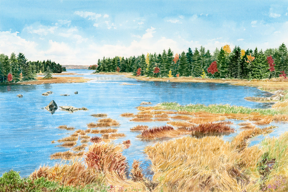 Original watercolor painting of Mt Desert Narrows, Mount Desert Island, Maine, with golden grasses, salt marsh, vibrant blue water, and early fall foliage, by Beth Whitney.
