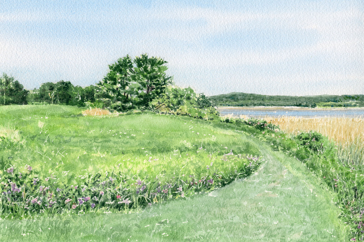 Original watercolor painting of the North Meadow trail at Gilsland Farm, Falmouth, Maine, with wildflowers and the Presumpscot River estuary beyond, by Beth Whitney.