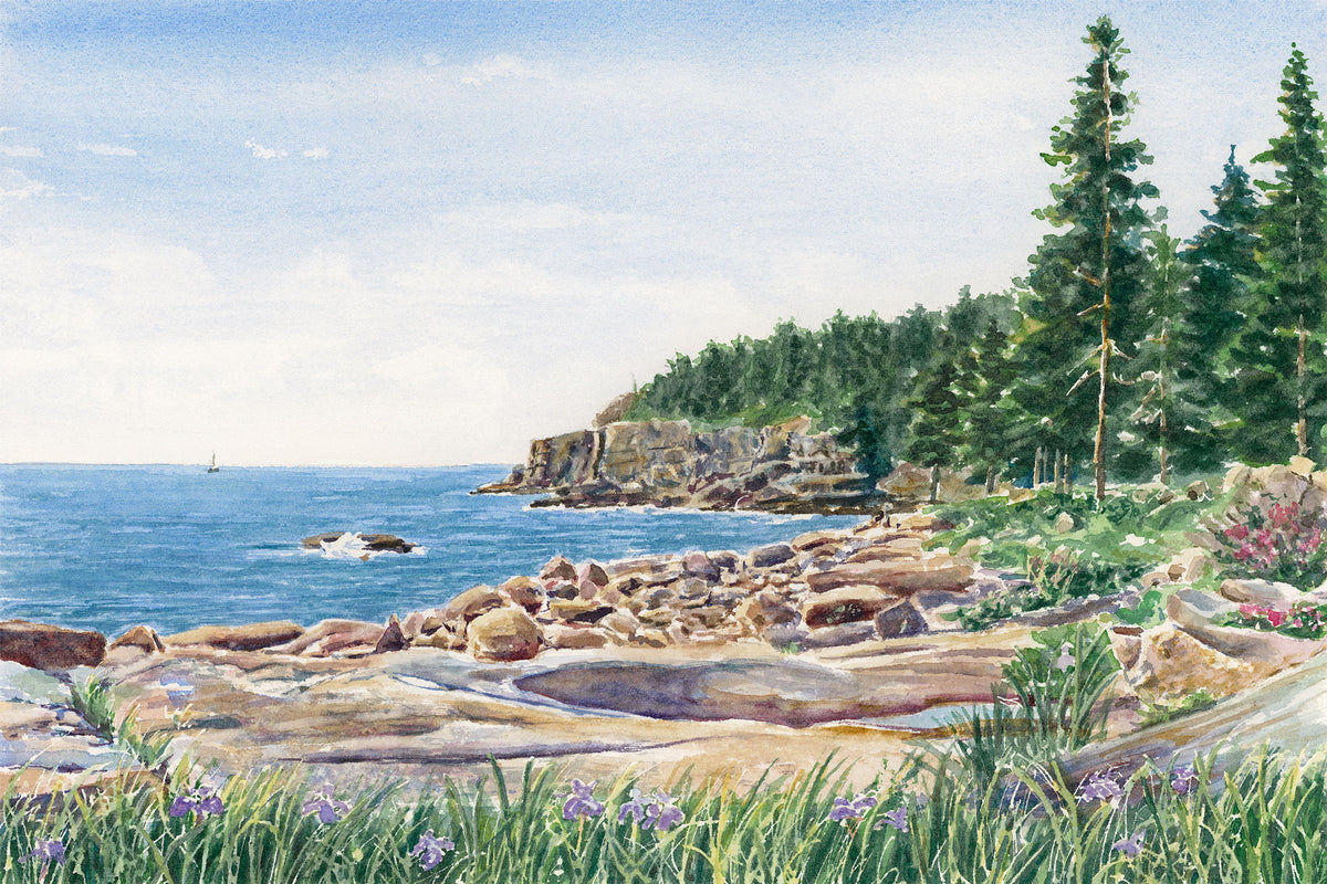 Original watercolor painting of Otter Cliff, Acadia National Park, Maine, with pink and golden morning light on the granite, wild irises in the foreground, and deep green pines beyond, by Beth Whitney.