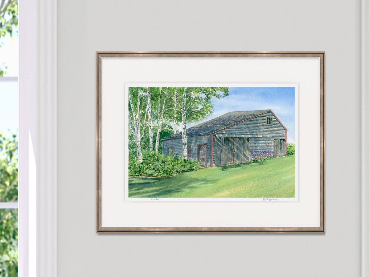 Framed watercolor print of Birches, barn and white birch trees, Friendship, Maine, on a neutral gray wall.