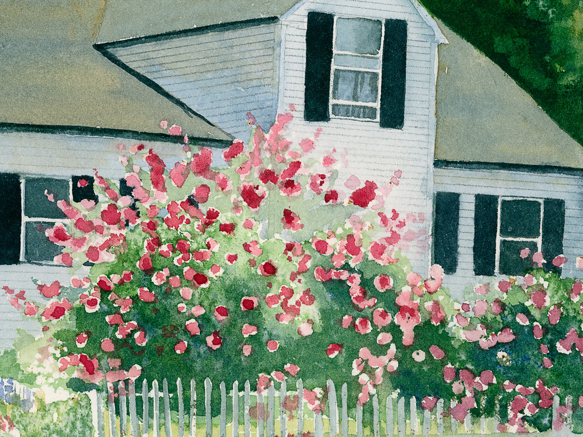Close-up detail of Rosebriar Cottage watercolor painting, showing abundant pink roses, a white picket fence, and the cottage in Blue Hill, Maine.