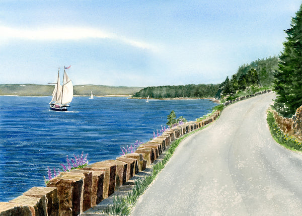 Sailing On Somes Sound Painting