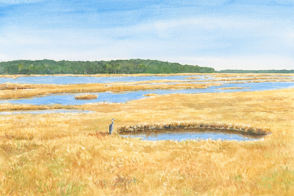 Scarborough Marsh Painting