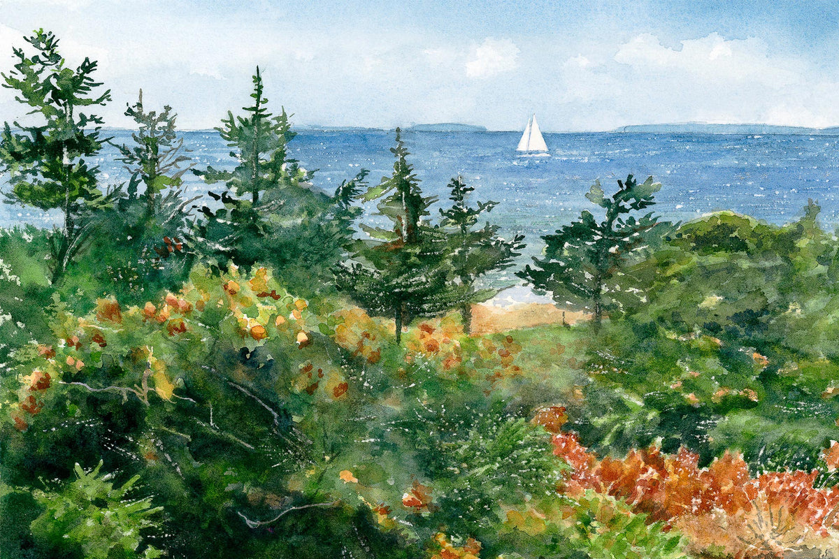 Original watercolor painting of autumn color at Schoodic Point, Acadia National Park, Maine, with a sailboat on Frenchman's Bay and mountain views beyond, by Beth Whitney.