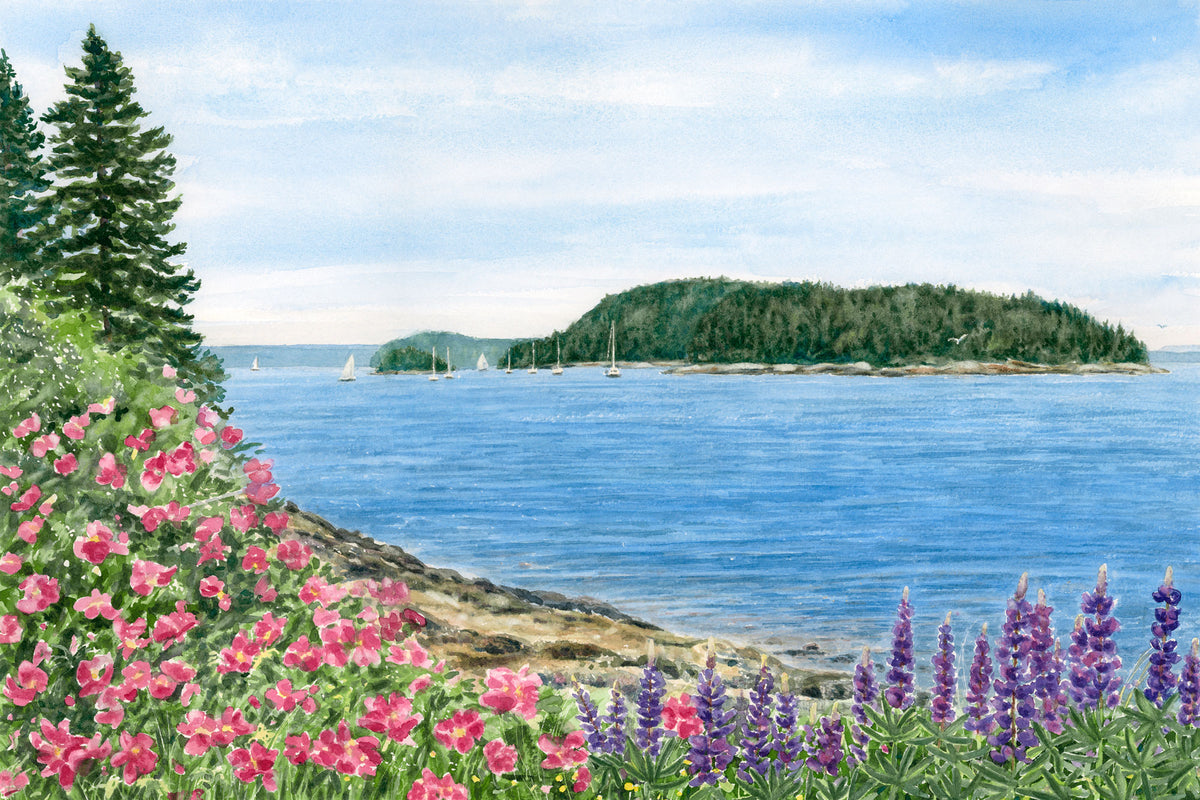 Original watercolor painting of pink roses and lupine along the shore road in Sorrento, Maine, with Frenchman's Bay and Mount Desert Island beyond, by local artist Beth Whitney.