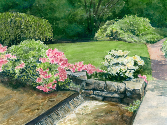 Original watercolor painting of a stream and small waterfall through the Asticou Azalea Garden, Northeast Harbor, Maine, with pink azaleas and rhododendrons in full bloom, by local artist Beth Whitney.