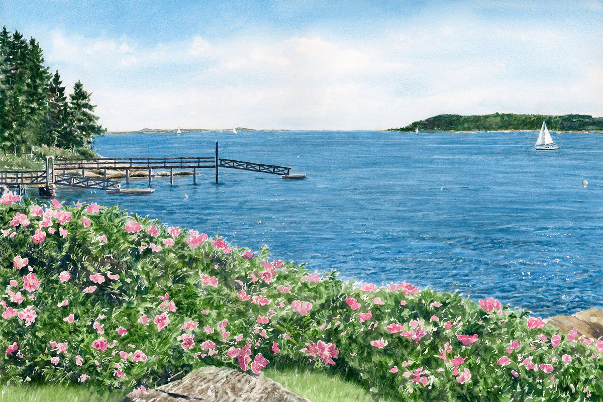 Original watercolor painting of Spruce Point, Boothbay Harbor, Maine, with pink roses lining the shore and a white sailboat on the blue water across from Burnt Island Light, by local artist Beth Whitney.