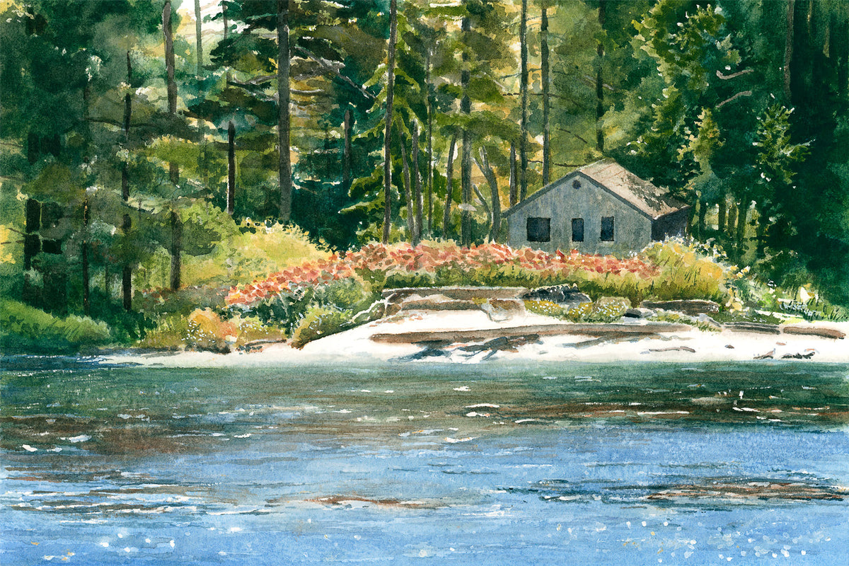 Original watercolor painting of an old cabin nestled in sumac and sunlight on Southport Island, near Boothbay Harbor, Maine, with shimmering water and glowing trees, by Beth Whitney.