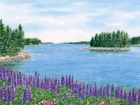 Original watercolor painting of purple lupine, pink roses, and yellow buttercups along the shore on Fish Creek Road, Deer Isle, Maine, looking toward Reach Beach and the islands, by local artist Beth Whitney.