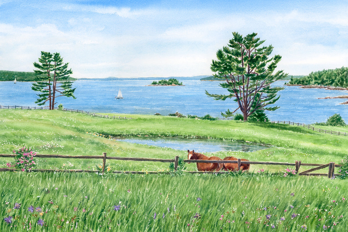 Original watercolor painting of Windswept View, Holbrook's field, East Blue Hill, Maine, with horses grazing in a wildflower pasture and a farm pond in the foreground, by Beth Whitney.