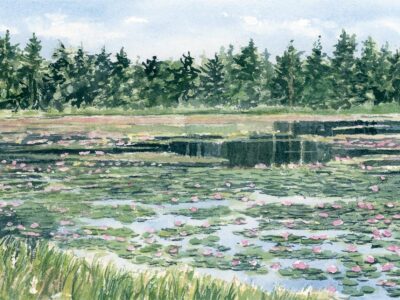 Watercolor print of Ames Pond with pink waterlilies and trees in the distance.