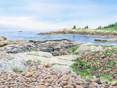 Watercolor painting of rocky shore and beach roses at Schoodic Point in Maine.