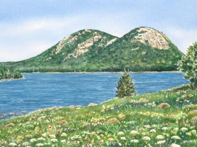 Watercolor of Jordan Pond and Acadia mountains with wildflowers.