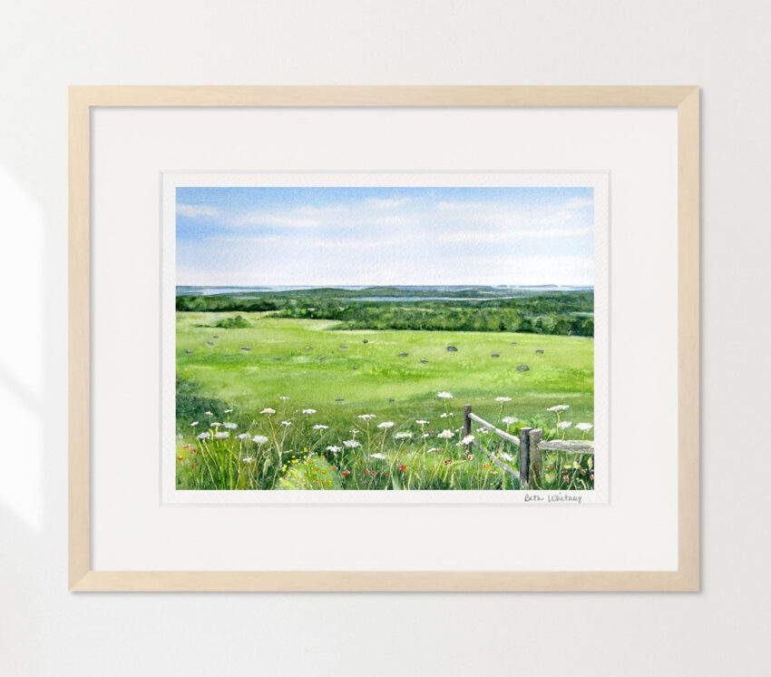 Watercolor painting of Caterpillar Hill field pasture with wildflowers