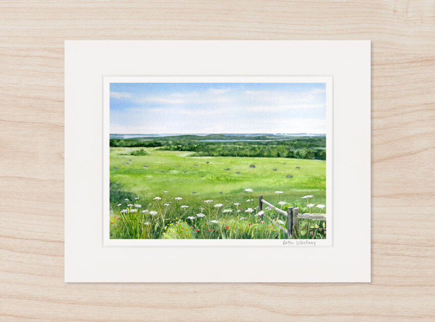 Watercolor painting of Caterpillar Hill field pasture with wildflowers