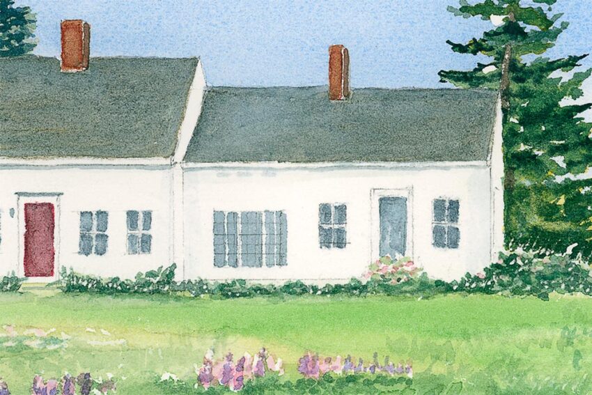 cottage with lupine and green grass