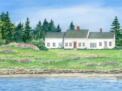 White seaside cottage surrounded by lupine meadow with beach