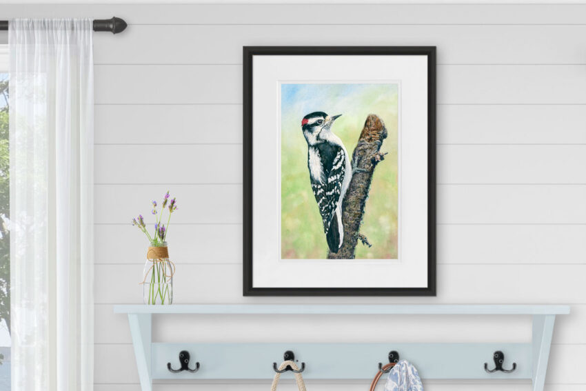 Downy woodpecker watercolor painting displayed in a mudroom