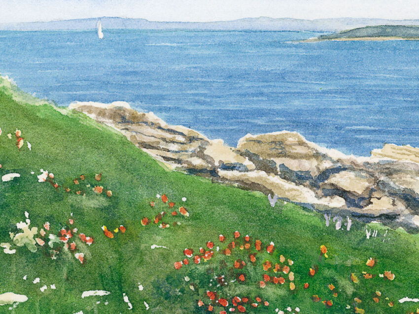 watercolor detail of ocean and wildflowers