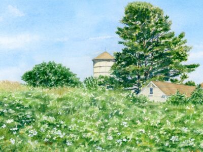 Watercolor painting of Laudholm Farm buildings and wildflower meadow