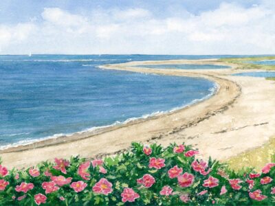 Watercolor ocean painting of Chatham Lighthouse Beach and roses on Cape Cod