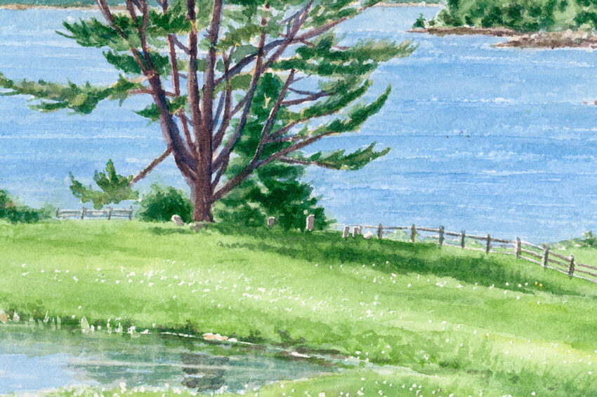green grass, pond, and trees on the ocean