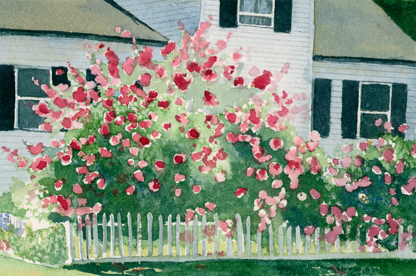 rose garden with cottage and white picket fence