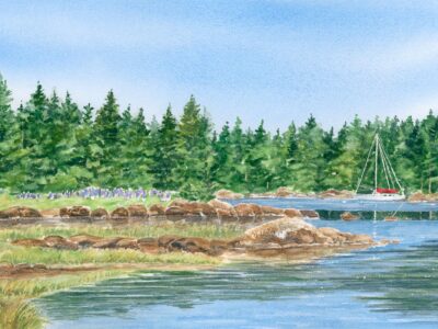 sailboat moored in a cove with trees and rocky shoreline