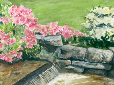 waterfall stream in a garden with flowers and rocks