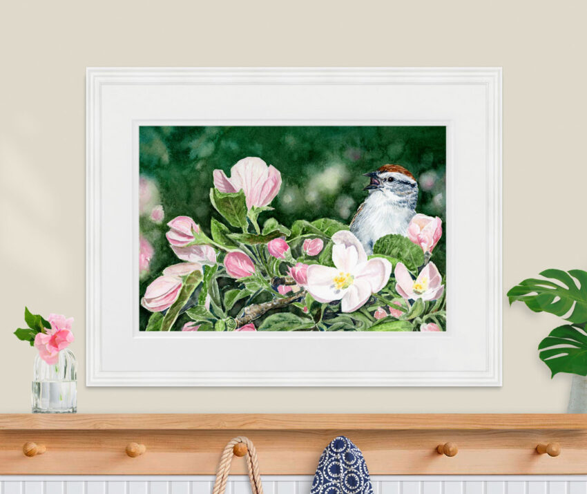Painting of a chipping sparrow singing on an apple blossom branch.